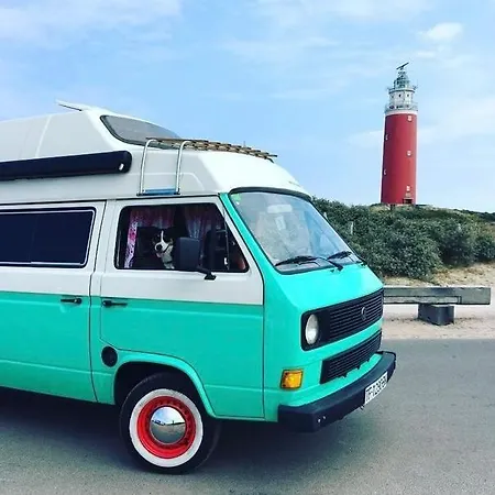 Kamp alanı Sally, A Vw T3 Original Westfalia Sally Camper